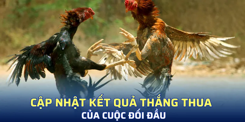Cập nhật kết quả thắng thua của cuộc đối đầu