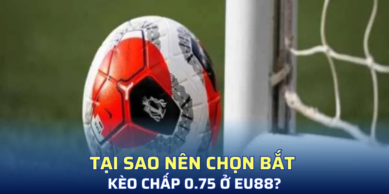 Cược một lời hai đầu tư thông minh cùng SV88