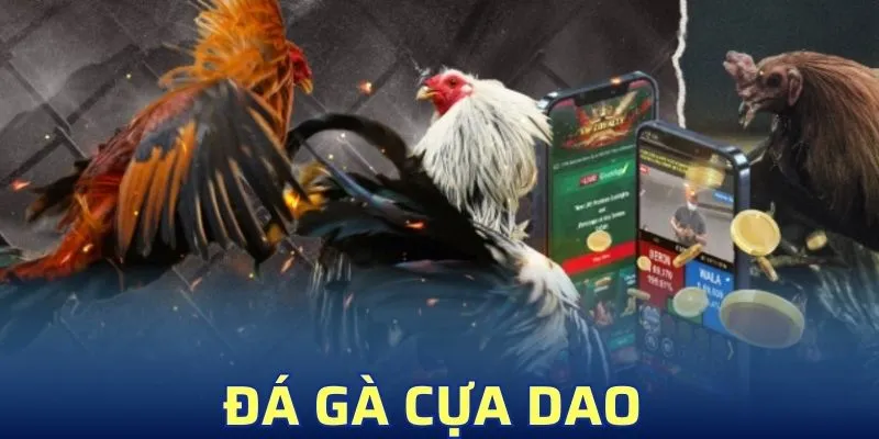 Đá Gà Cựa Dao – Trải Nghiệm Sân Chơi Gay Cấn Nhất Ở SV88