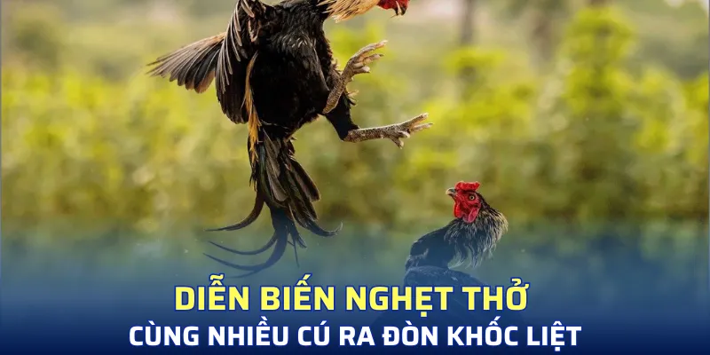 Diễn biến nghẹt thở cùng nhiều cú ra đòn khốc liệt