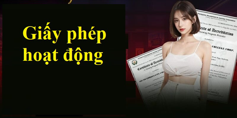 Những giấy phép hoạt động SV88 khác