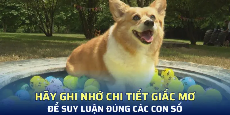 Hãy ghi nhớ chi tiết giấc mơ để suy luận đúng các con số