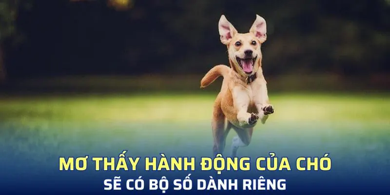 Mơ thấy hành động của chó sẽ có bộ số dành riêng