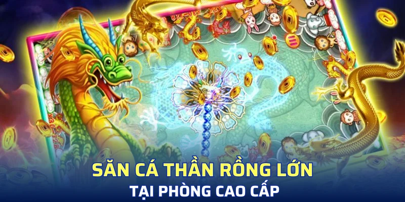 Săn cá thần rồng lớn tại phòng cao cấp