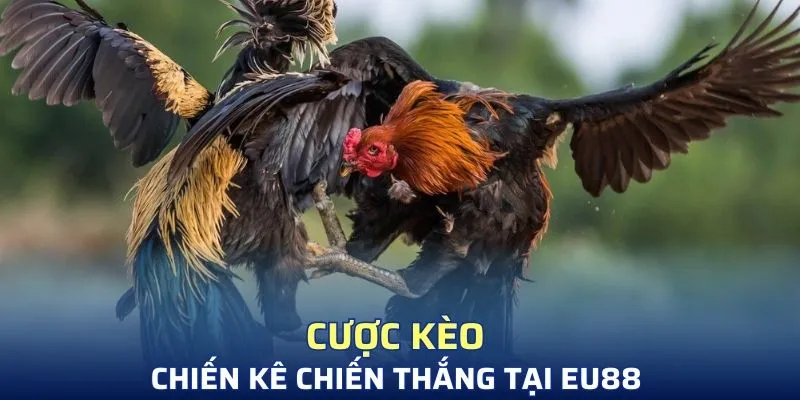 Tham gia những ván cược siêu đỉnh tại SV88