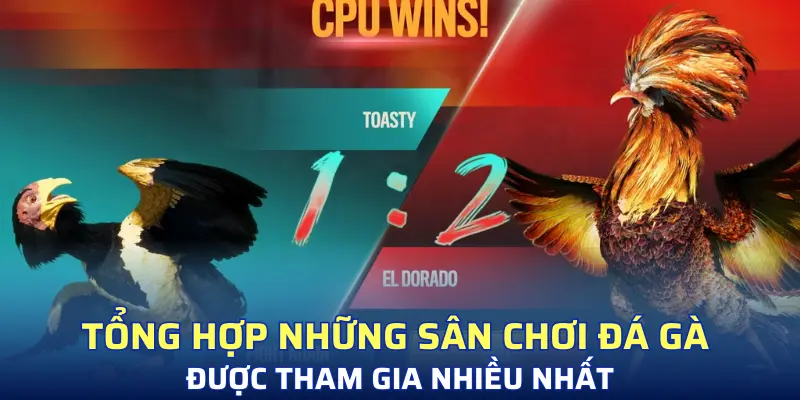Tổng hợp những sân chơi đá gà được tham gia nhiều nhất